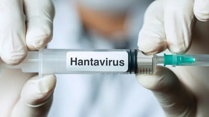 Hantavirus