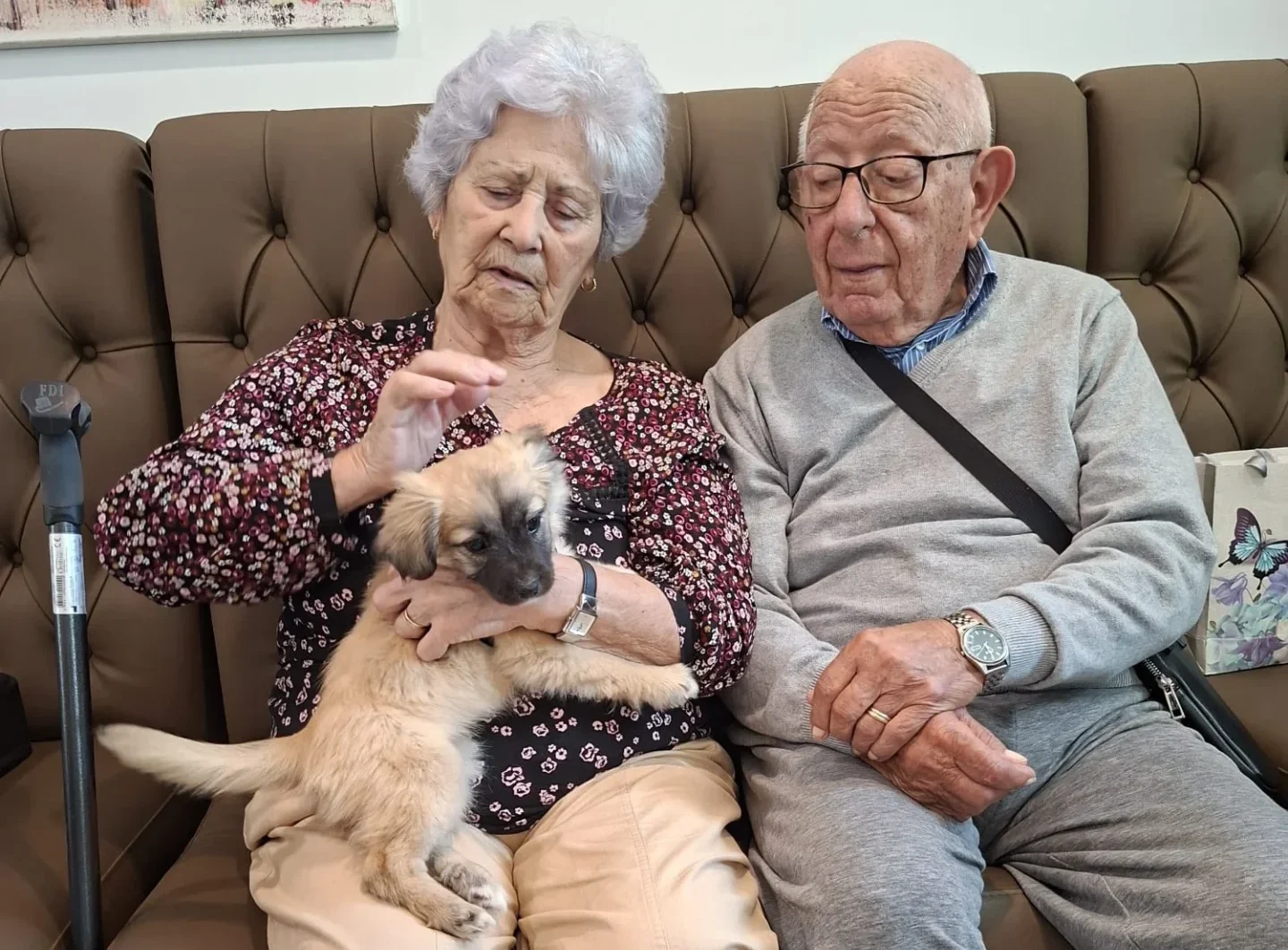 Residência Sénior Animais Cantinho 1