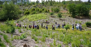 Voluntariado Serra Do Crasto2