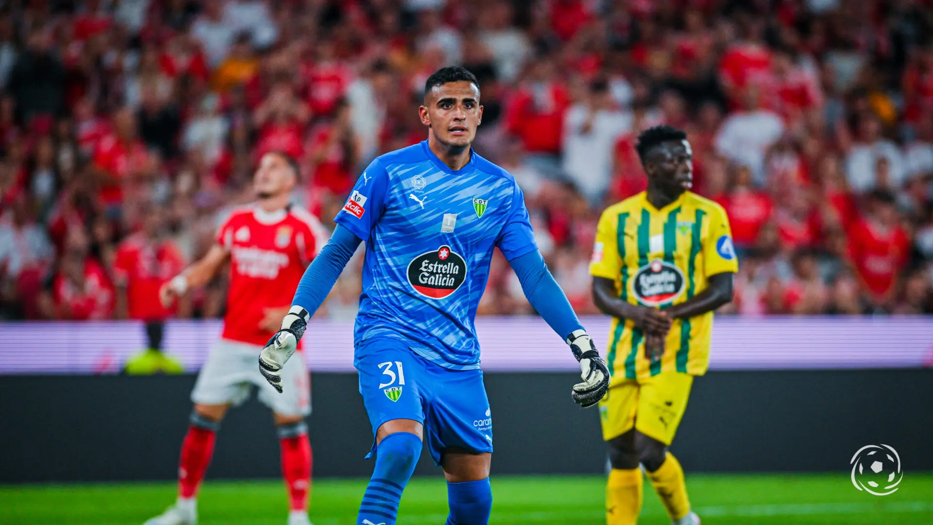 Bernardo Fontes Cdt