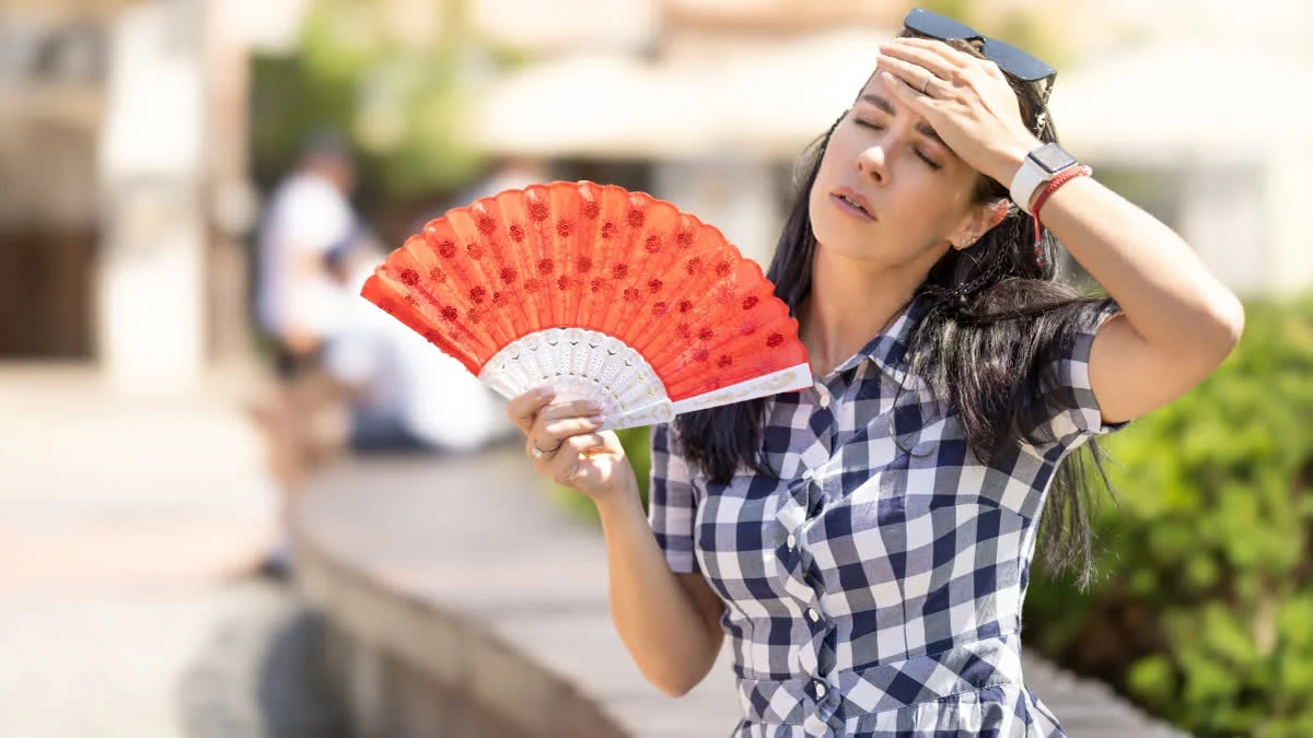 Calor Leque Temperatura