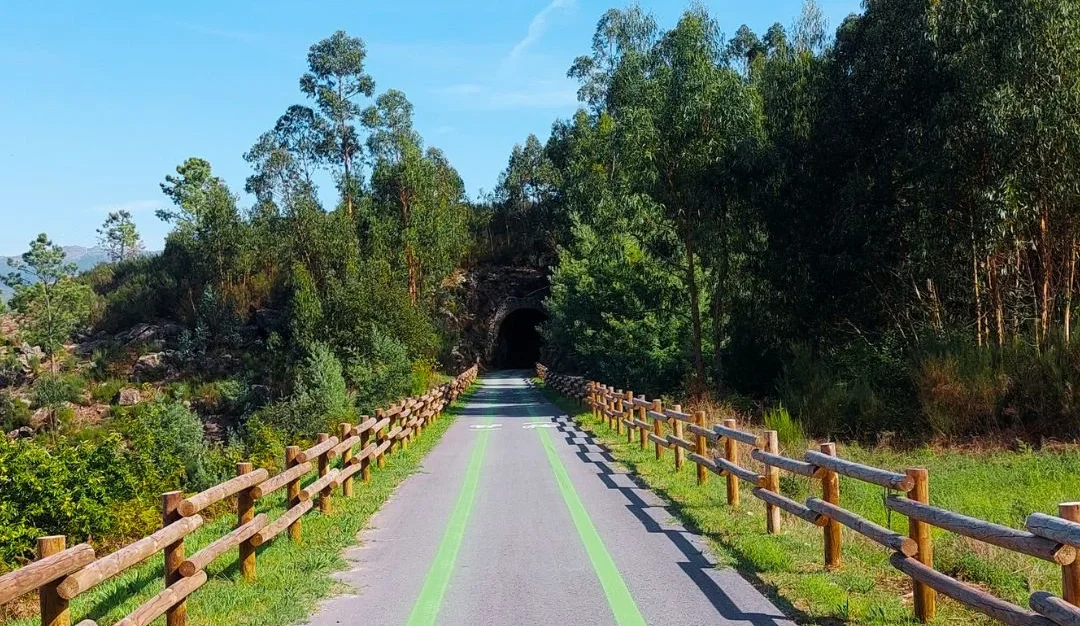 Caminhos Oli Frades