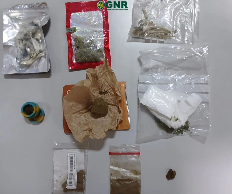 Gnr Apreensão Moimenta Da Beira