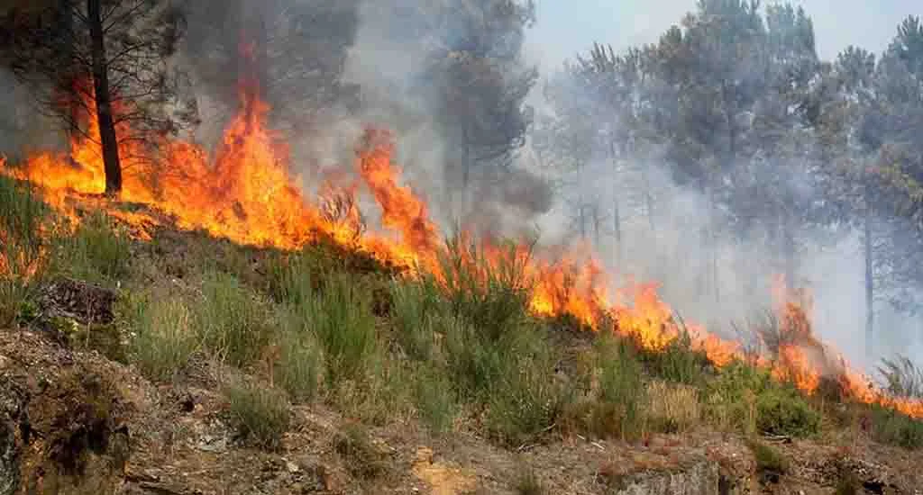 Incendio Rural Aviso