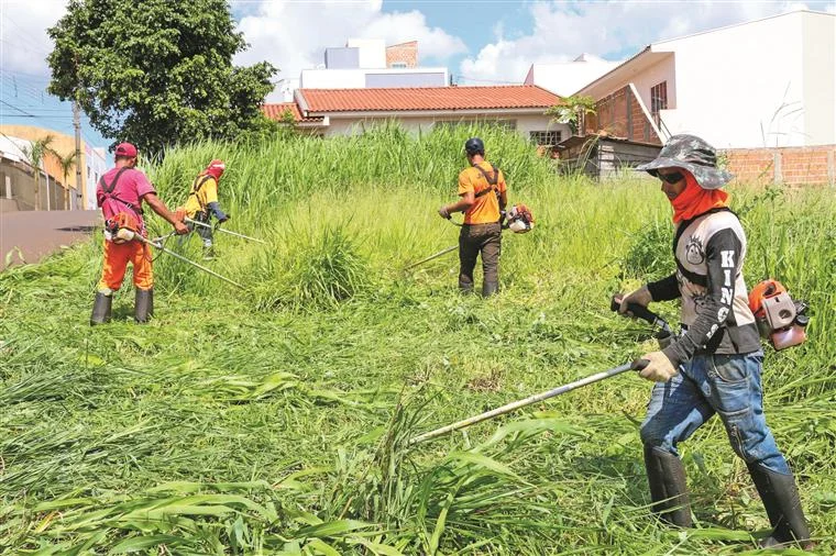 Limpeza Terrenos Fogos