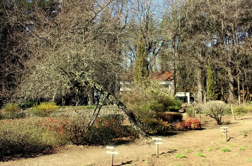 Parque