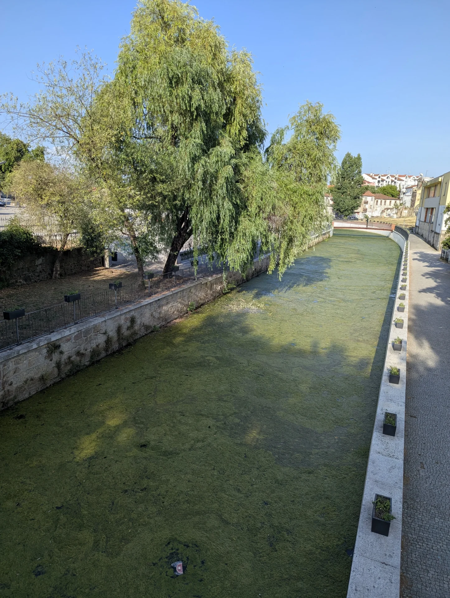 Rio Pavia