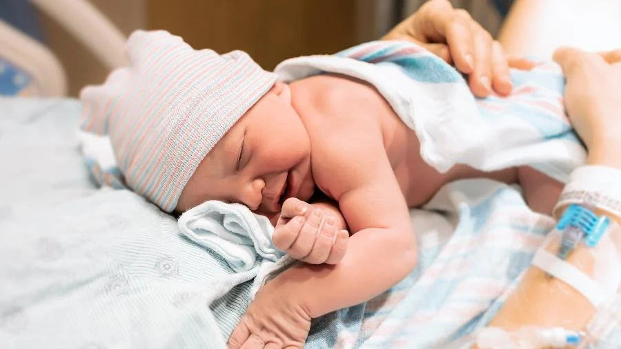 Bebes Nascidos Em Portugal