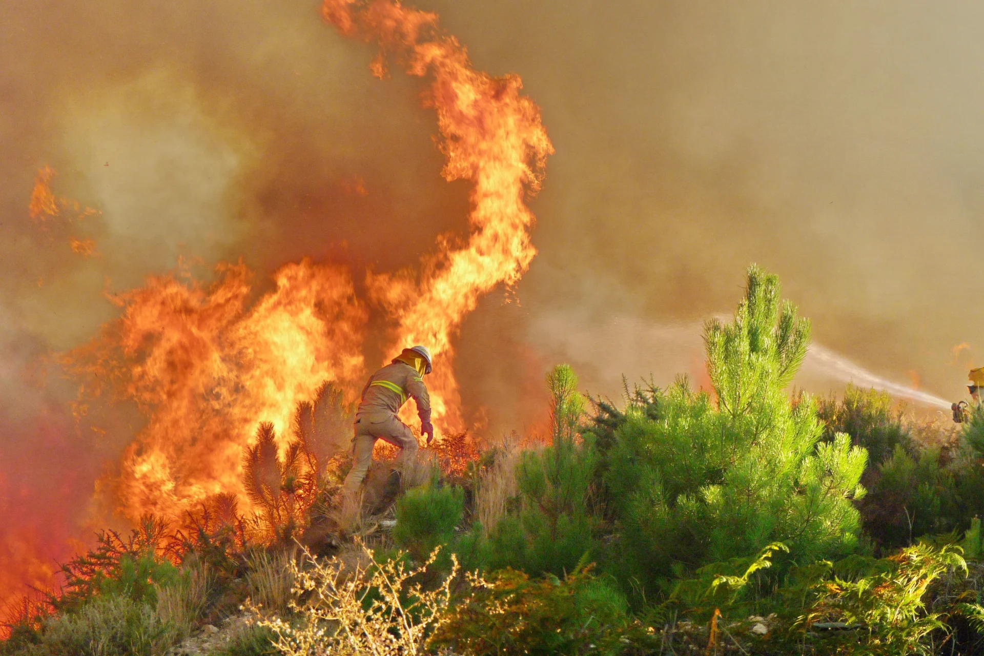 Bombeiros Incendio