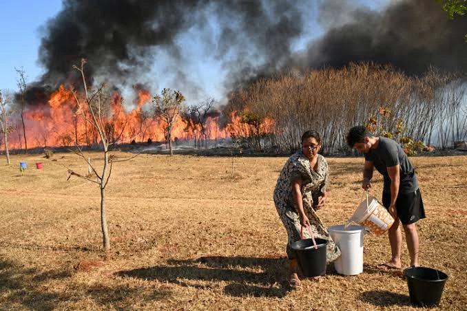 Detidos Incendios Na Fran&ccedil;a