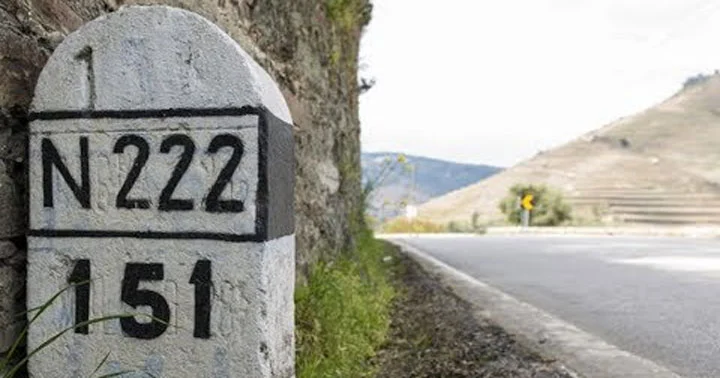 En222 Sjpesq