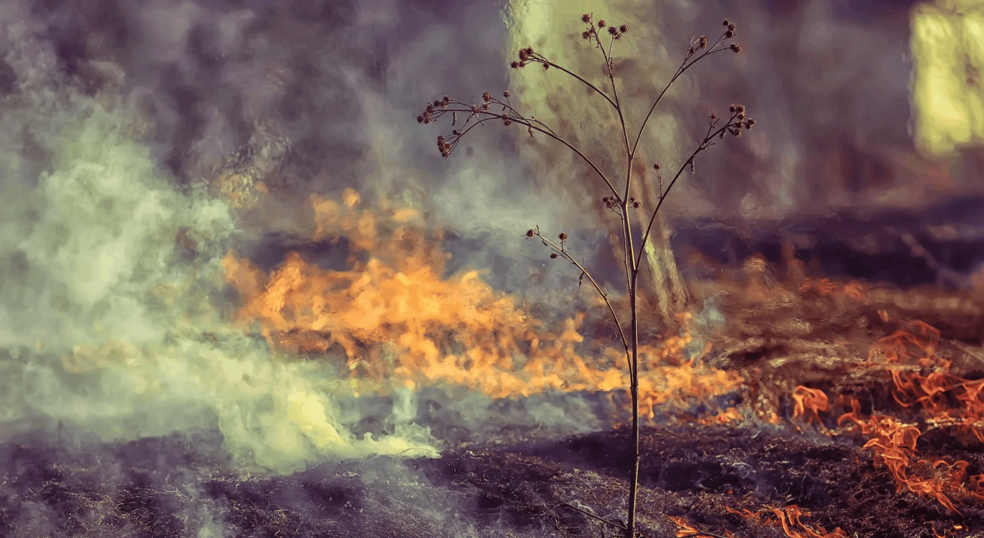 Fogo Evolucao Dos Incendios V2