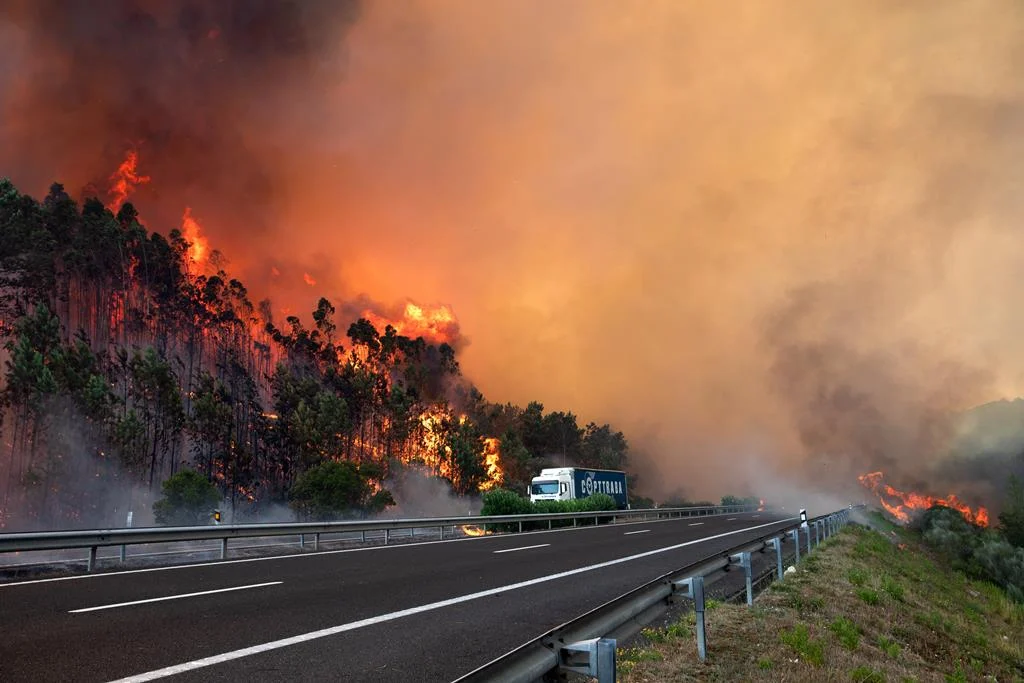 Fogos Perto Da Autoestrada