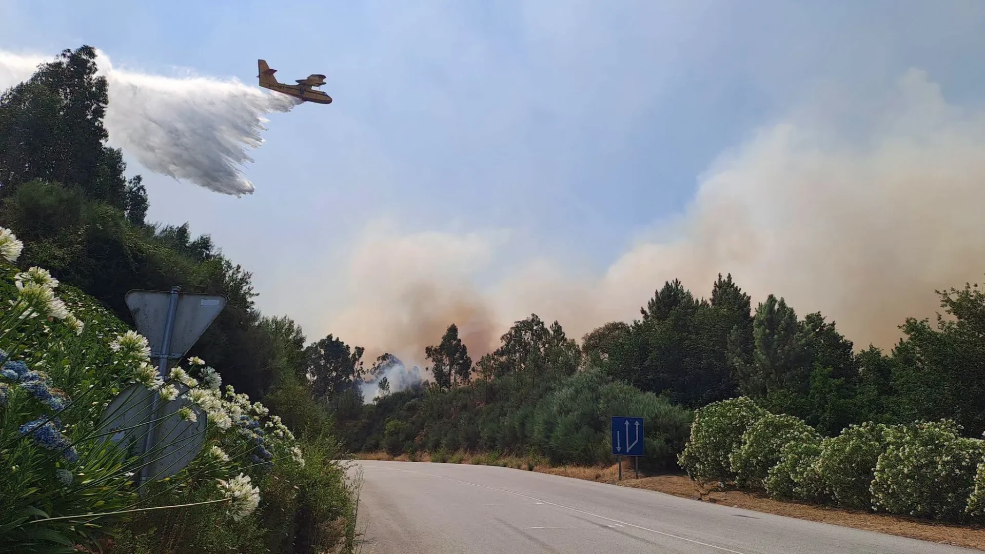 Foto Bombeiros De Portugal