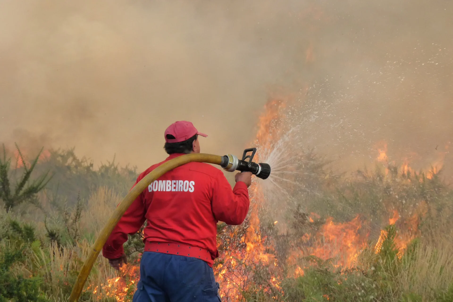 Incendio Chas De Tavares Mangualde 3