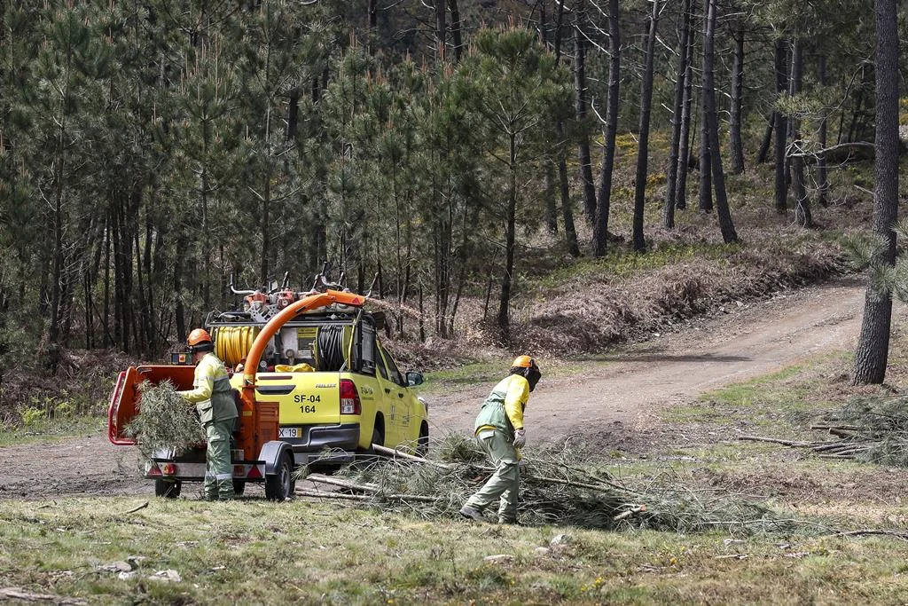 Limpeza Terrenos Incêndios