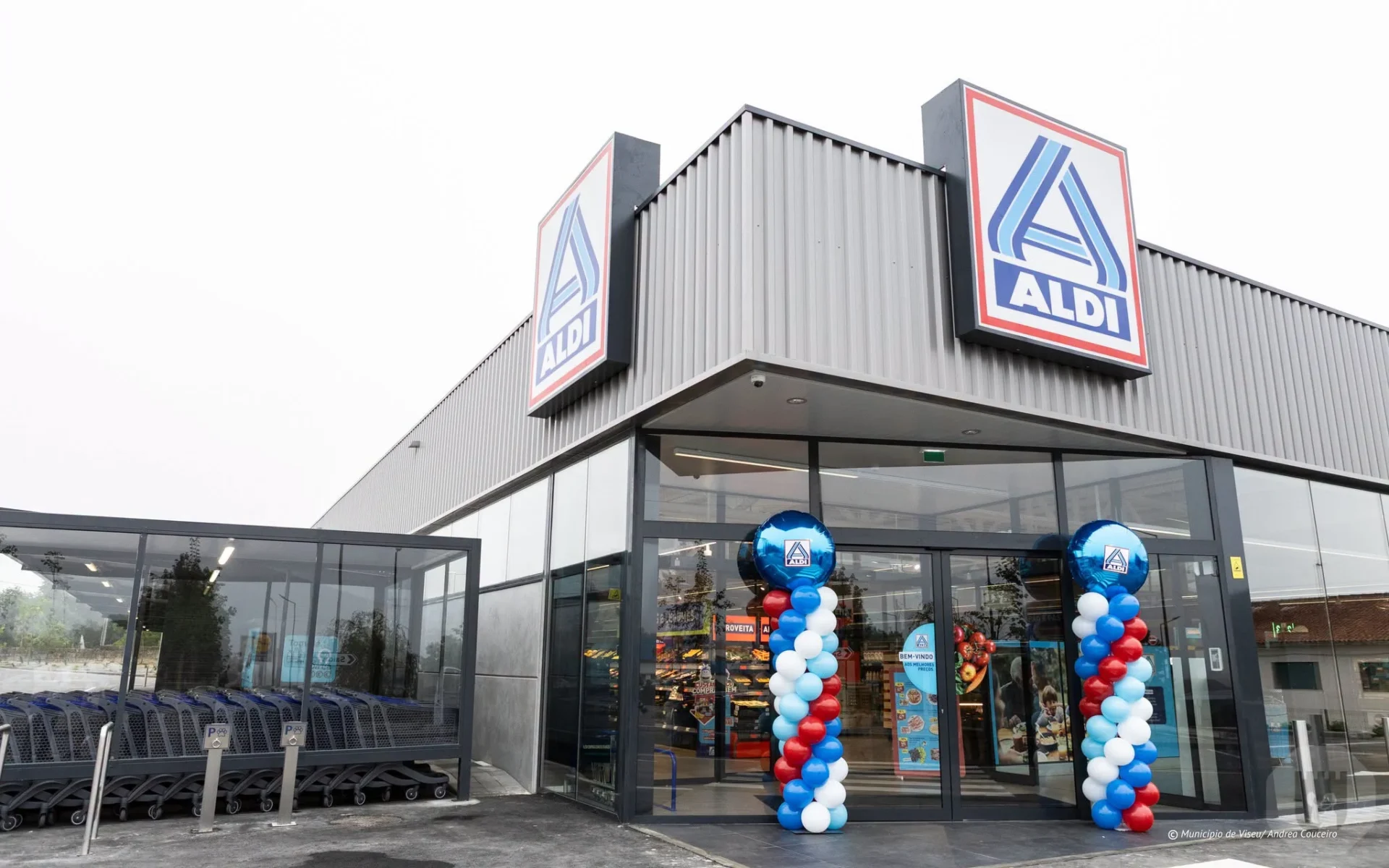 Aldi Viseu1