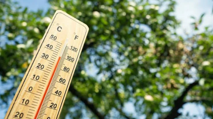 Altas Temperaturas Viseu