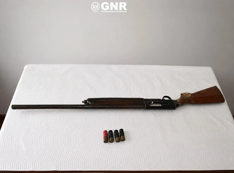 Apreensão Gnr Viseu
