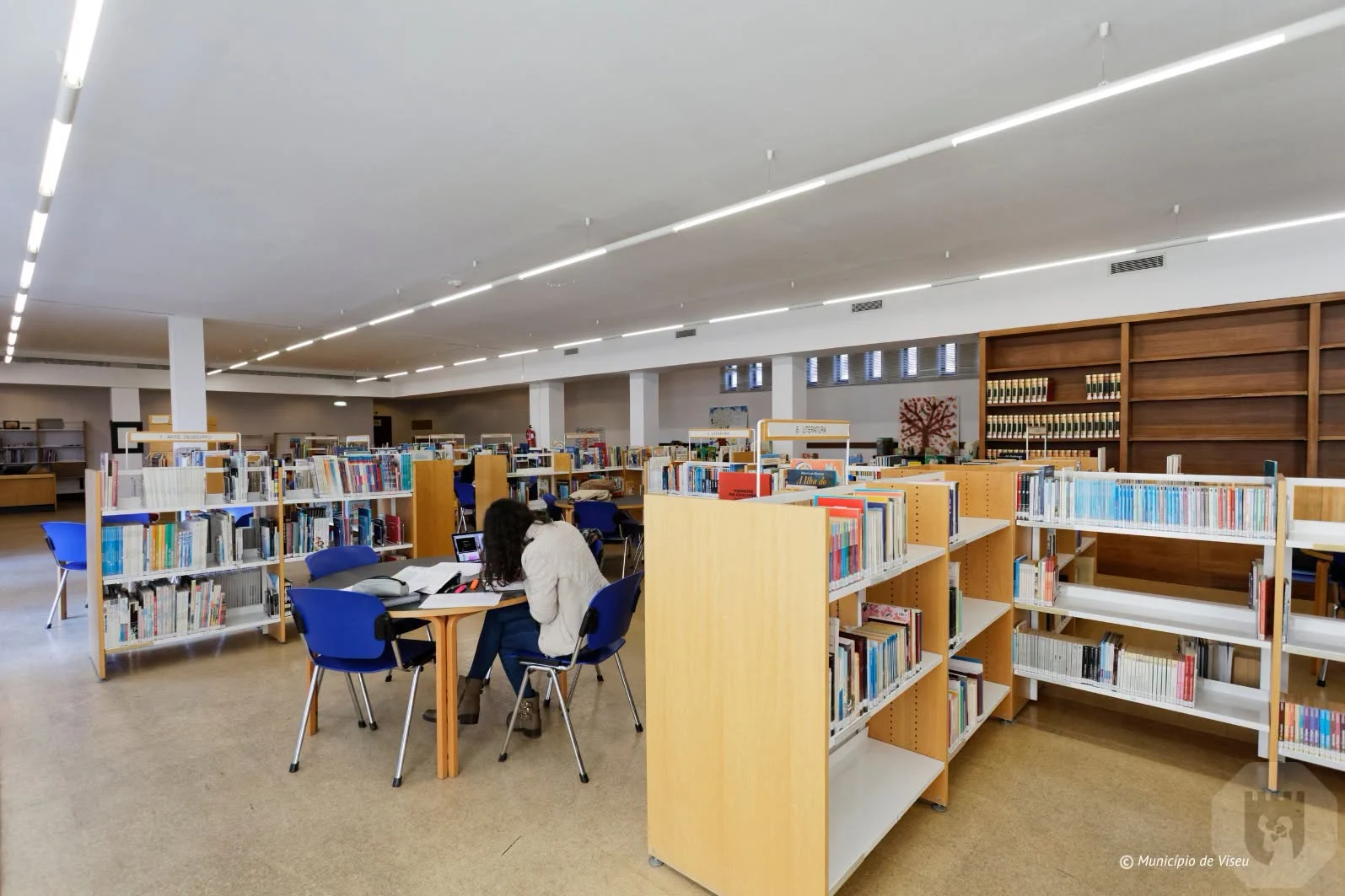 Biblioteca Municipal