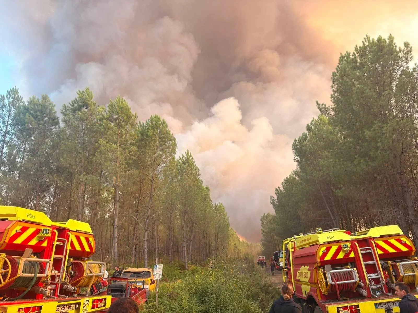 Bombeiros De Portugal