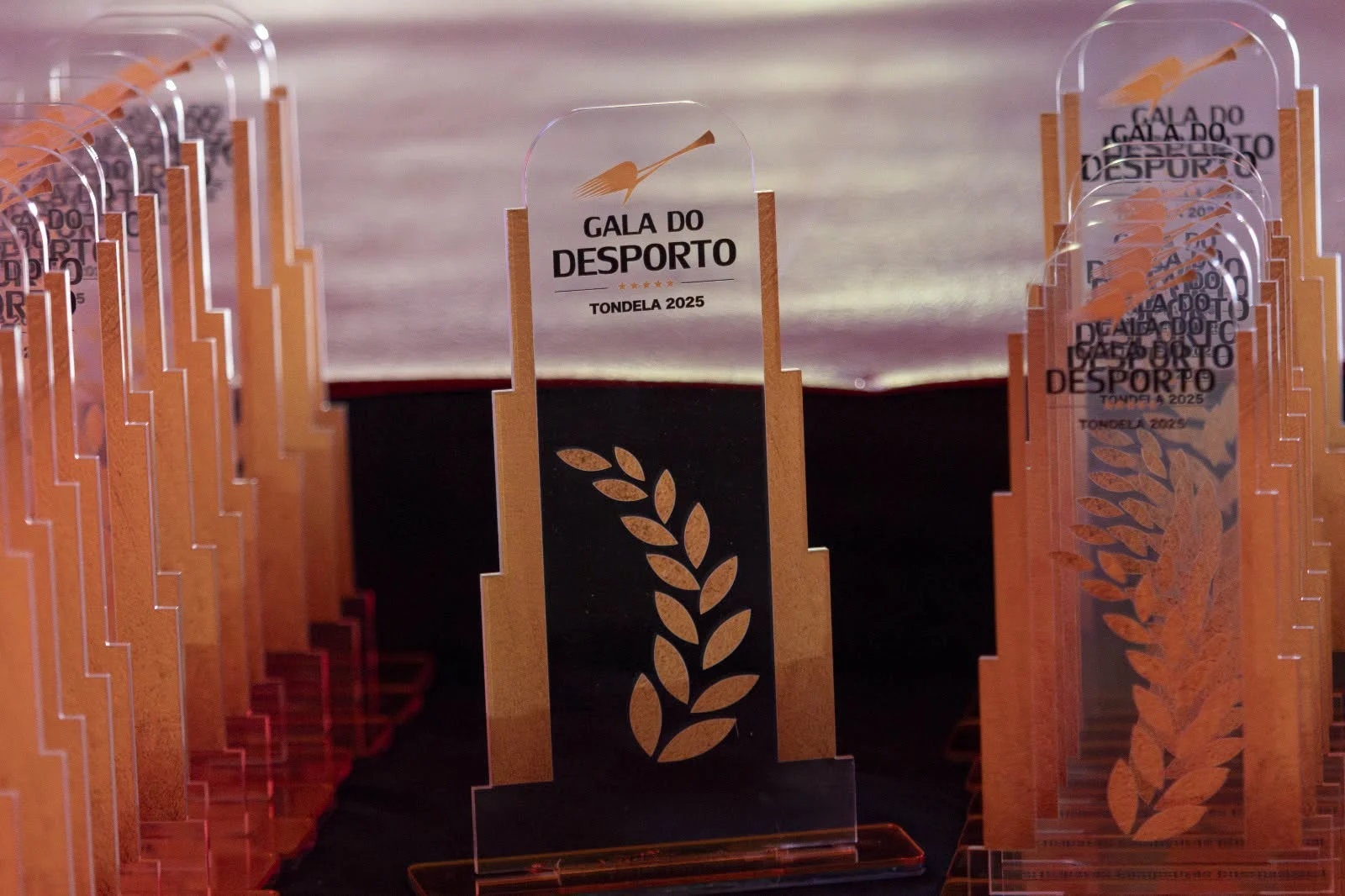 Gala Desporto