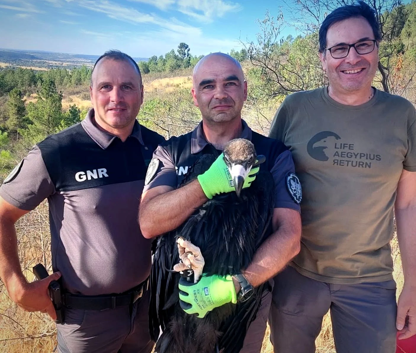 Gnr Guarda Abutre Preto