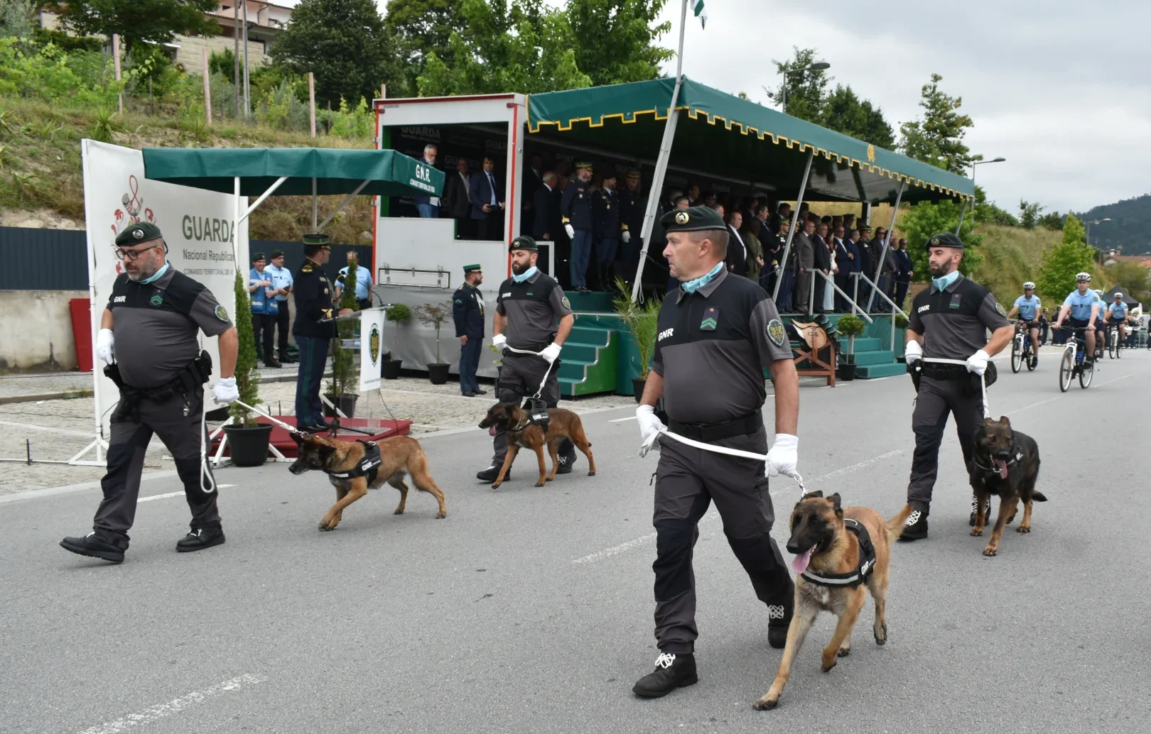 Gnr Viseu Cinot&eacute;cnicas