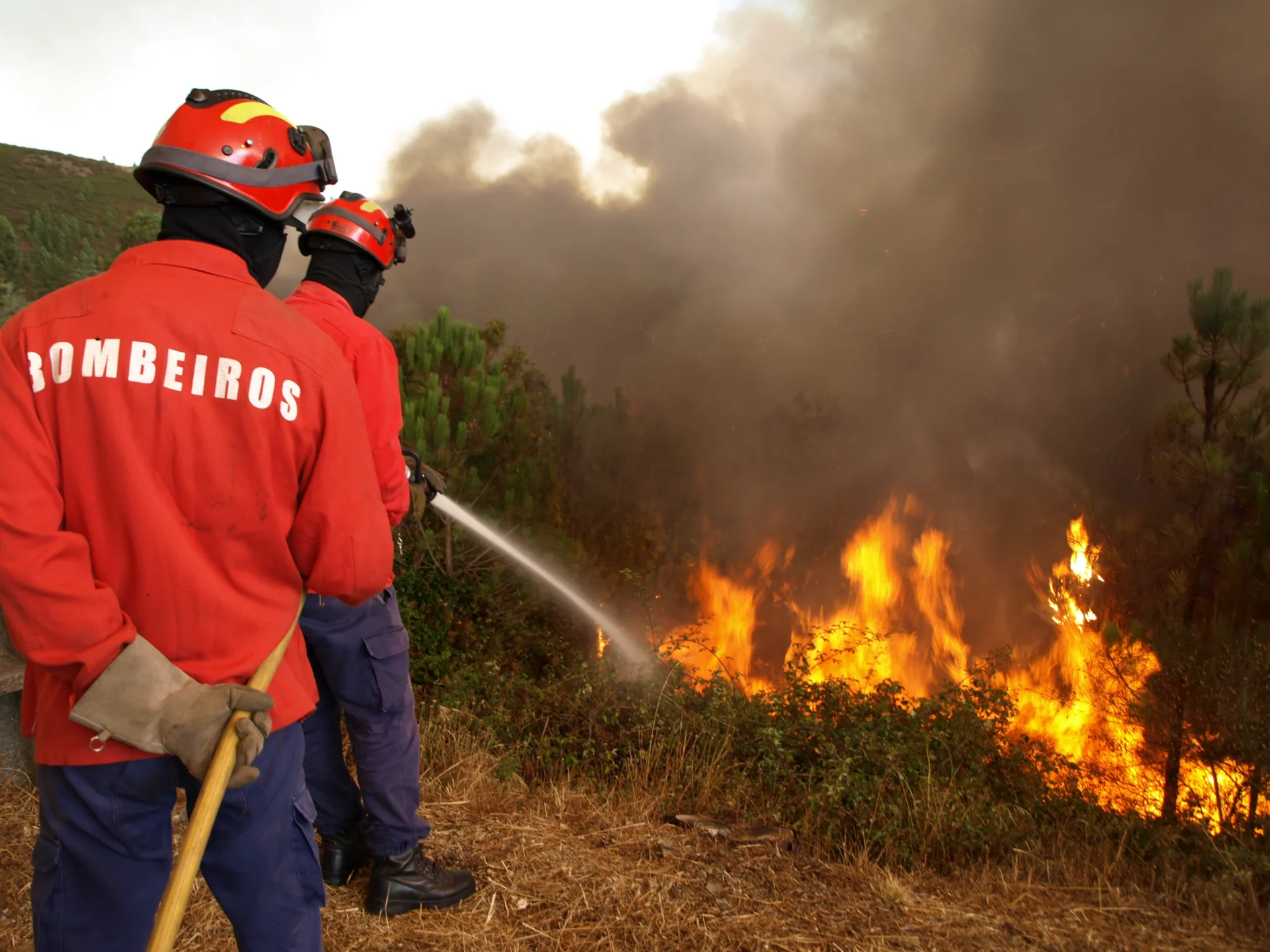 Incêndios 7456