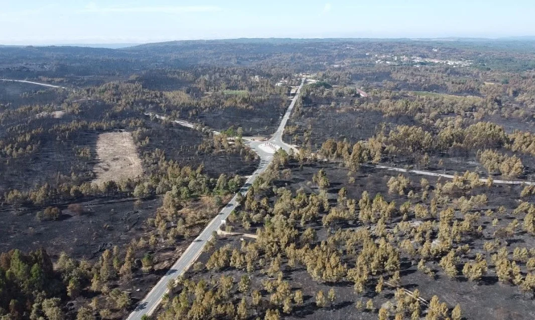 Incendios Sernancelhe Area Ardida
