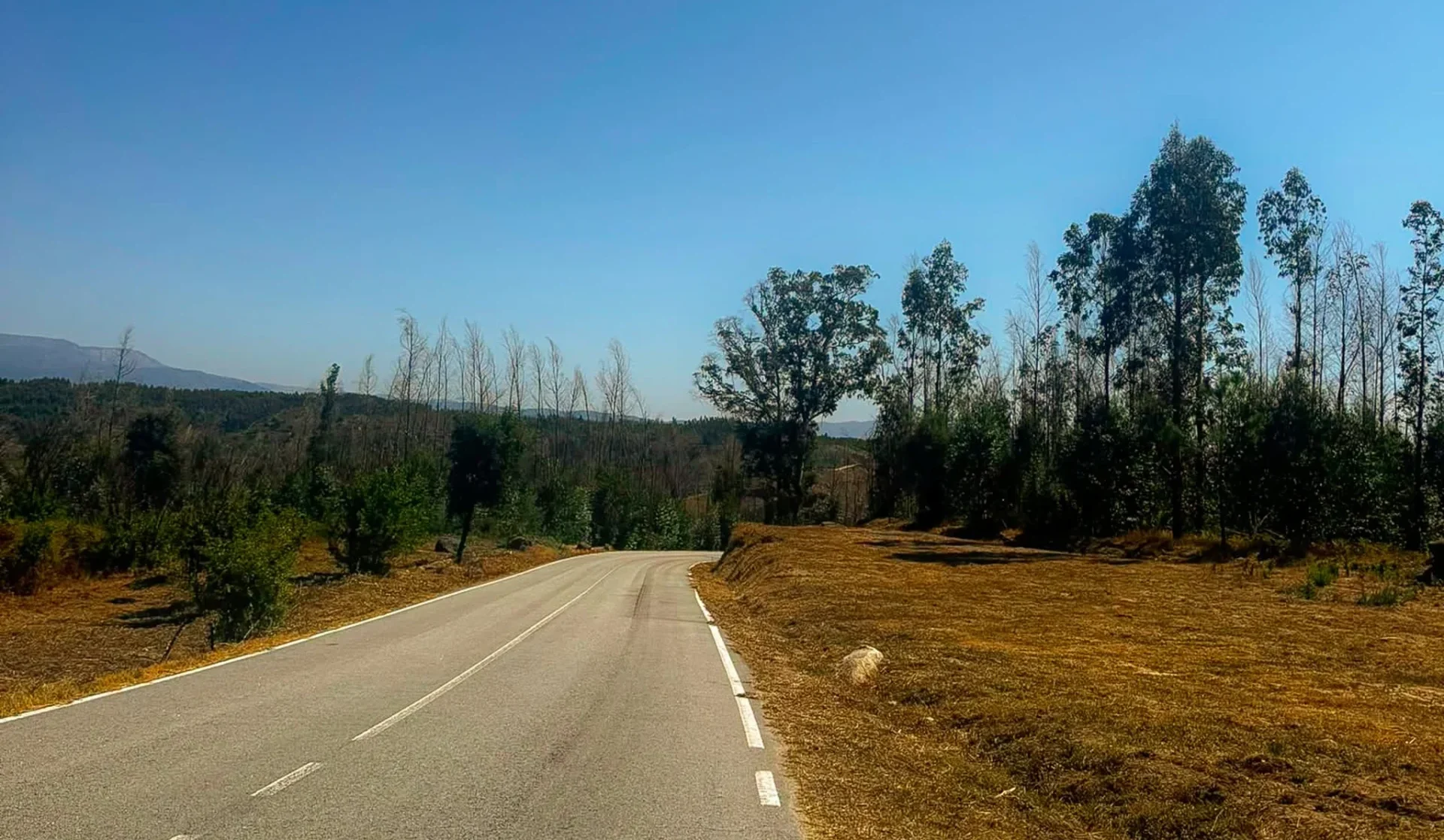Nelas Caminhos