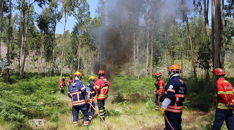 Prevenção Fogos Bombeiros