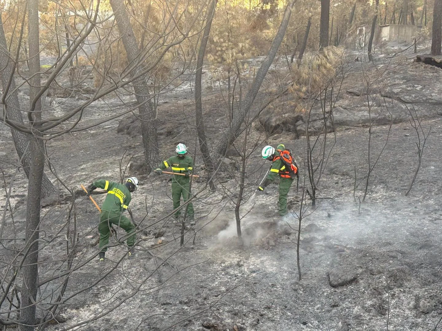 Ri14 Incêndios