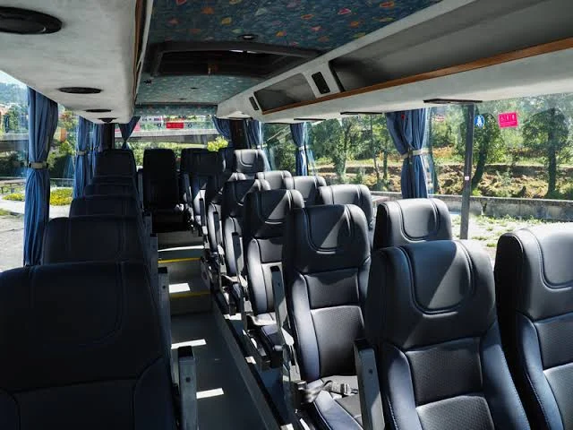 Transportes Públicos Gratuitos