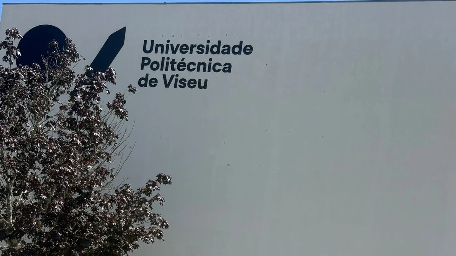 Universidade Politecnica De Viseu1