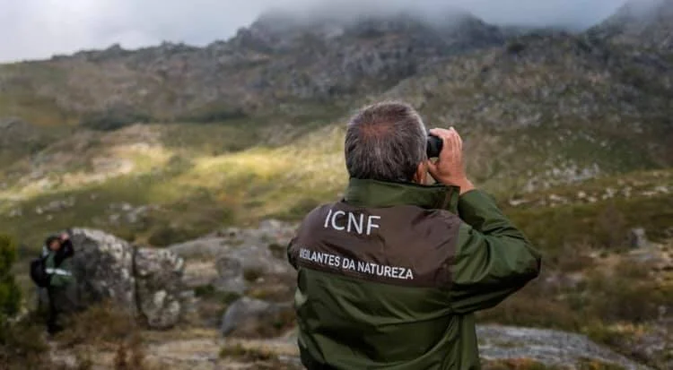 Vigilantes Da Natureza