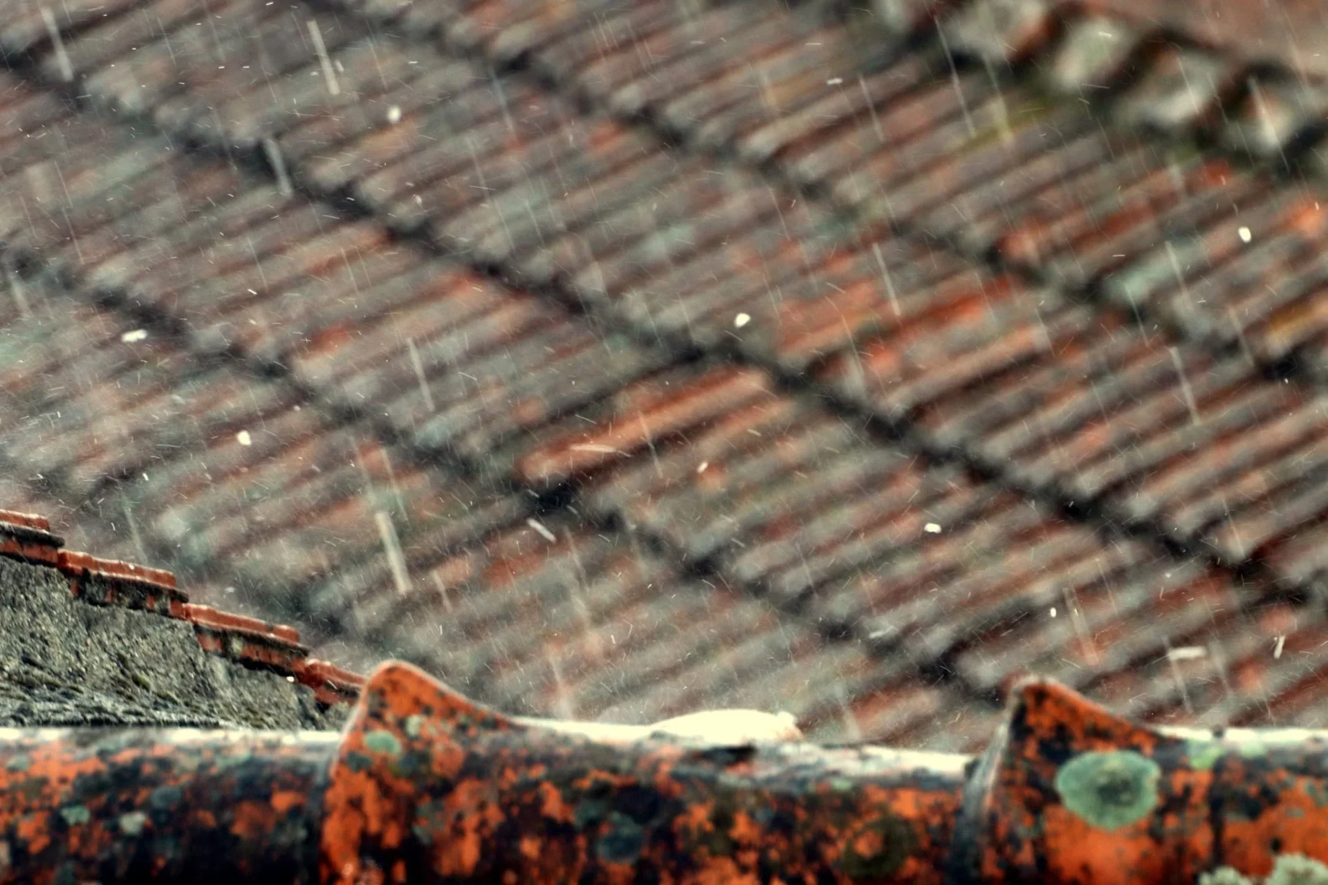 Viseu Chuva Telhados