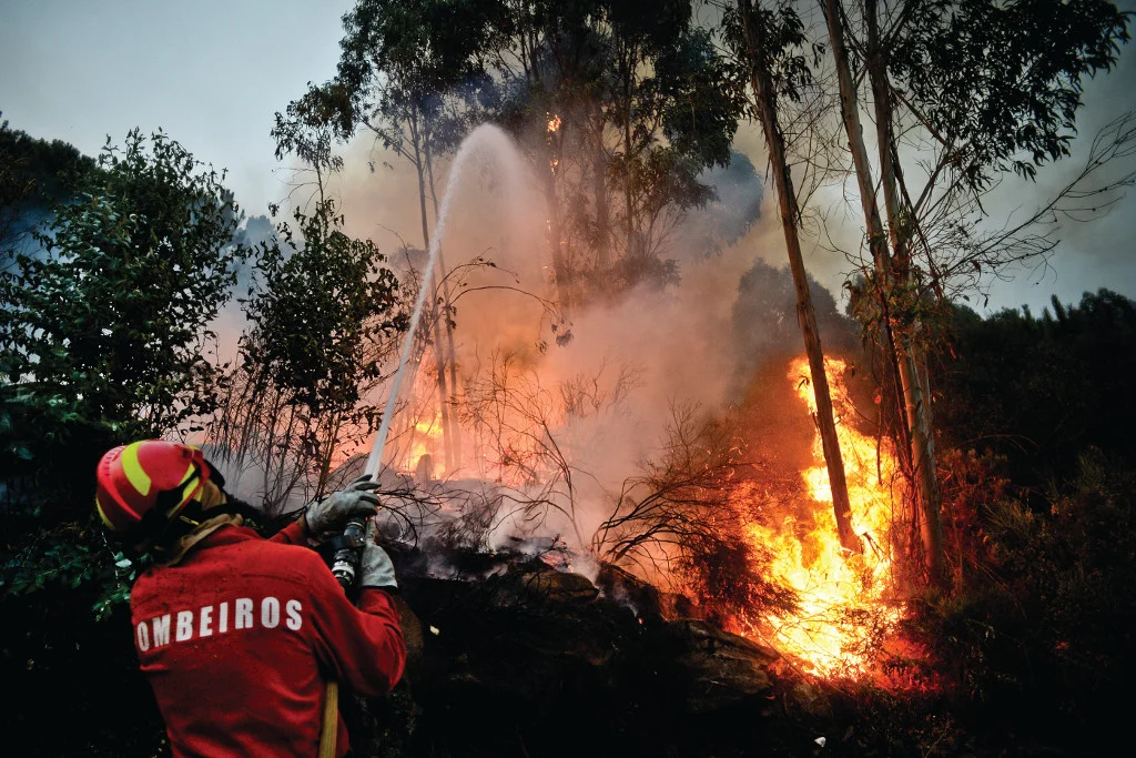Bombeiros A Apagar Fogo