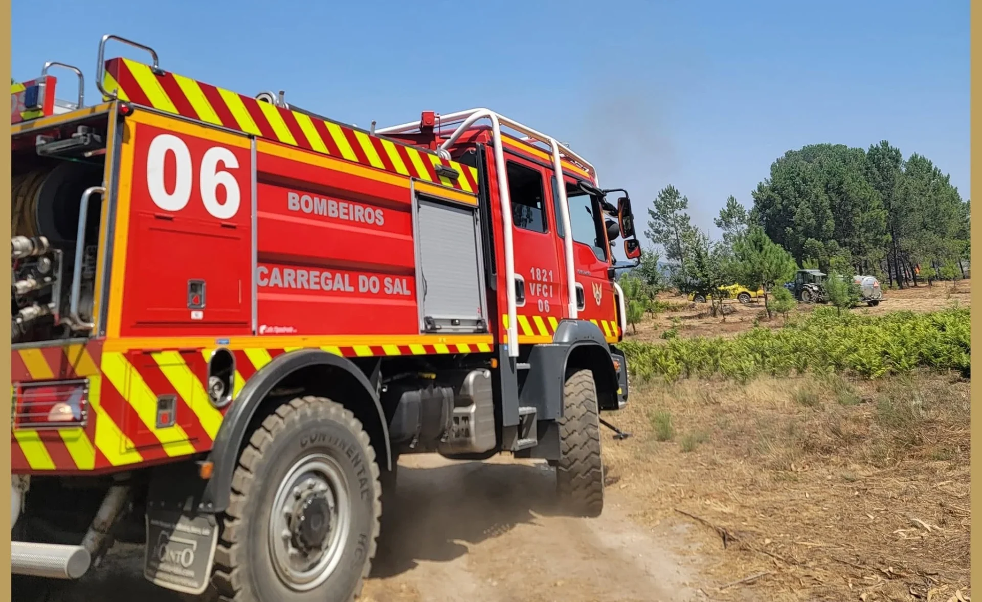 Bombeiros Carregal Do Sal1