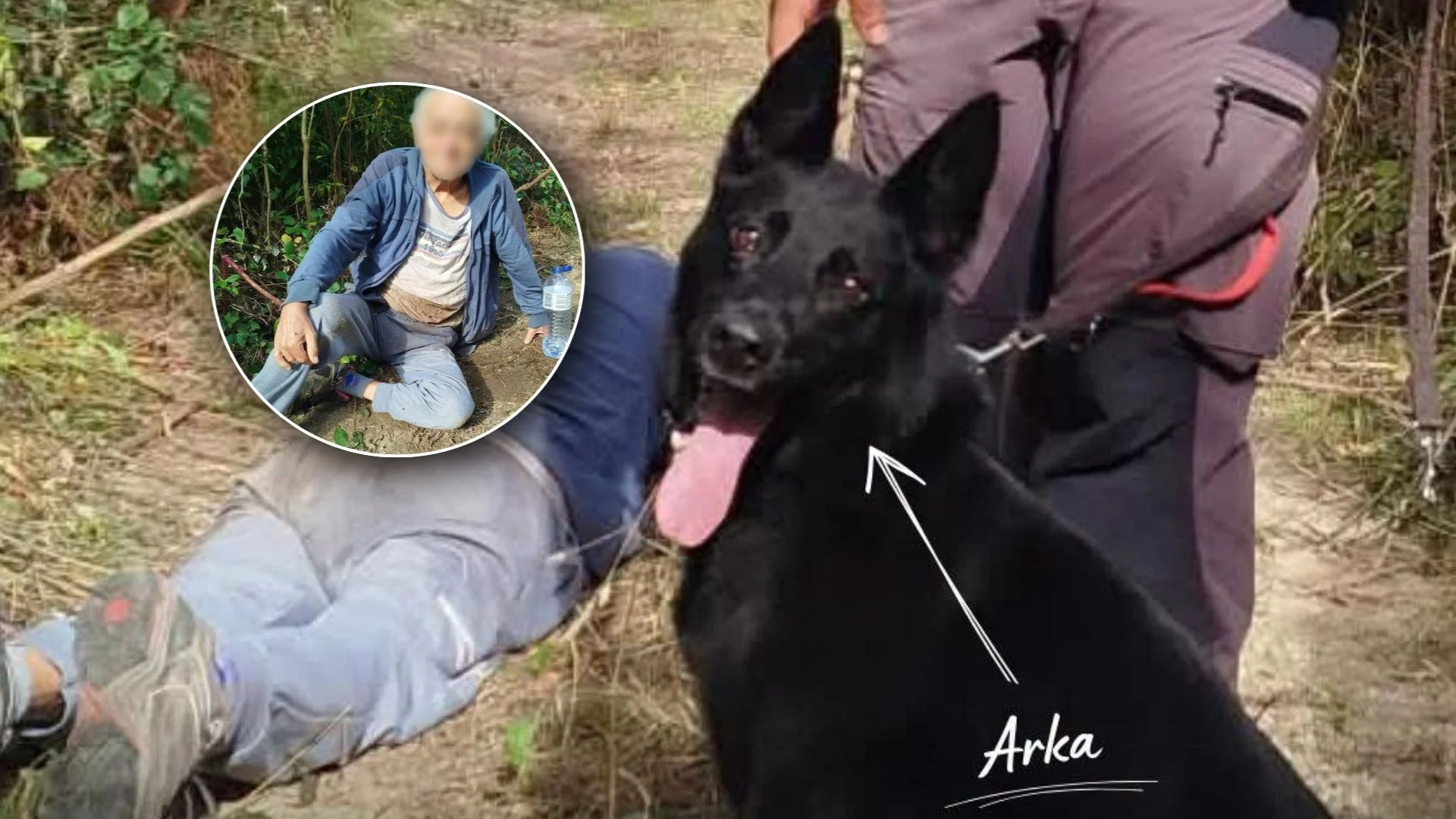 C&atilde;o Arka Gnr Desaparecimento