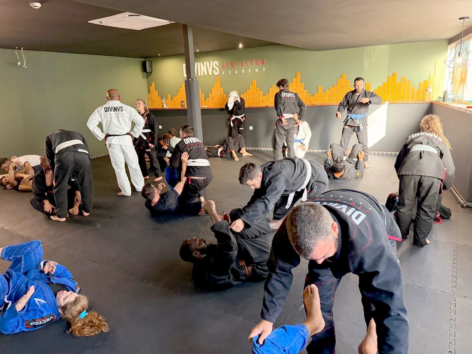 Divinvs Jiu Jitsu Academy