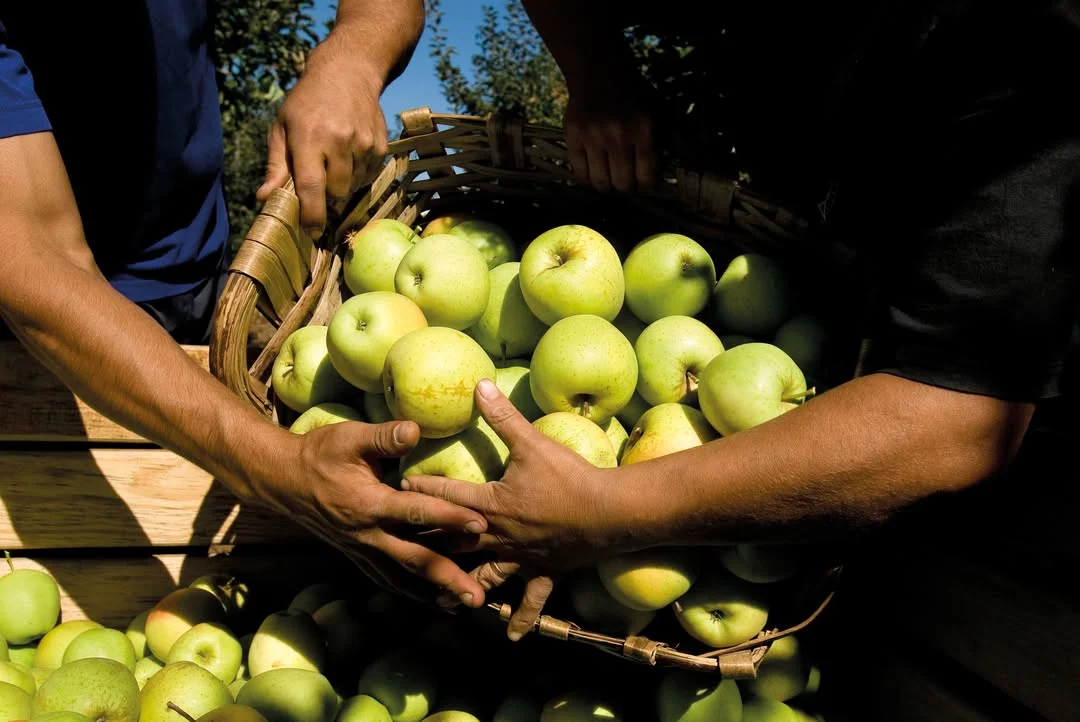Feira Da Maçã De Armamar