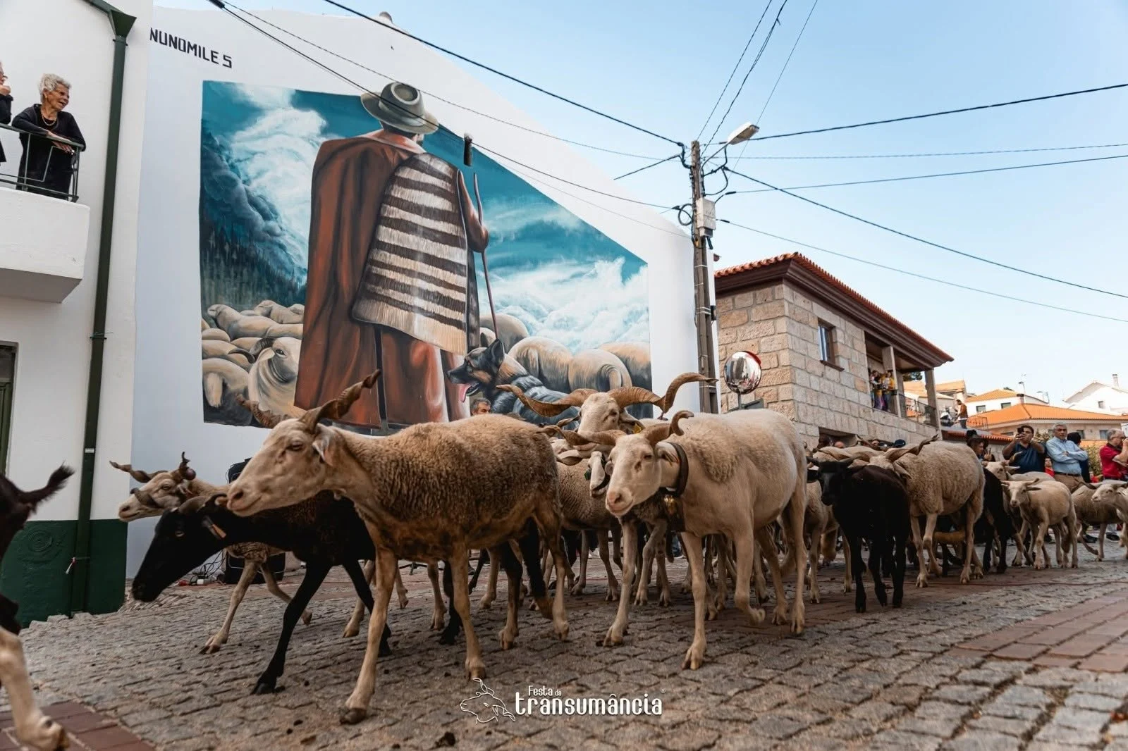 Festa Da Transumancia