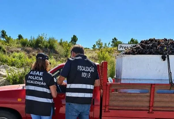 Fiscalização Asae Douro