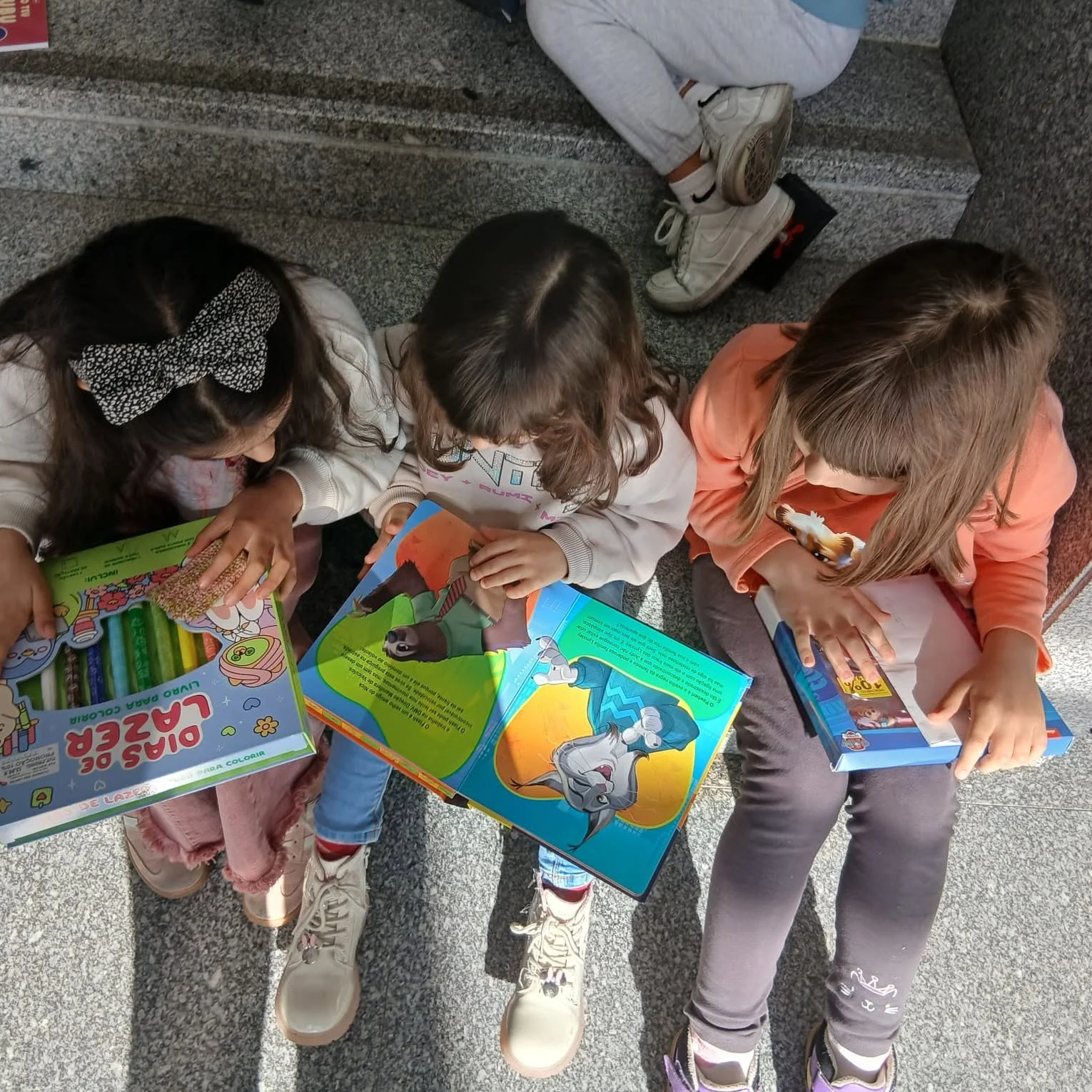 Fornos Algodres Livros Apoio