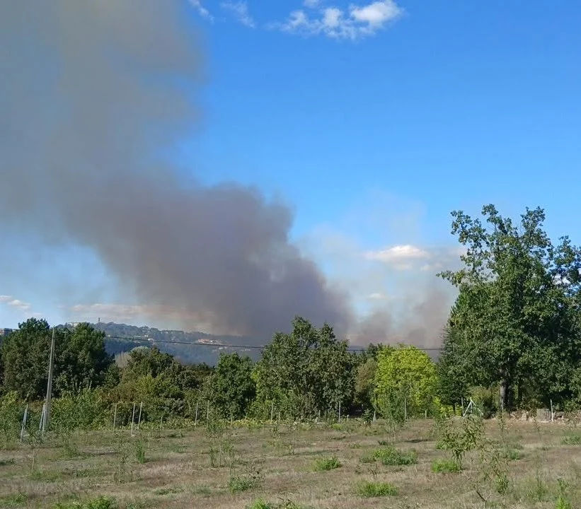 Incêndio Mangualde Fogo1