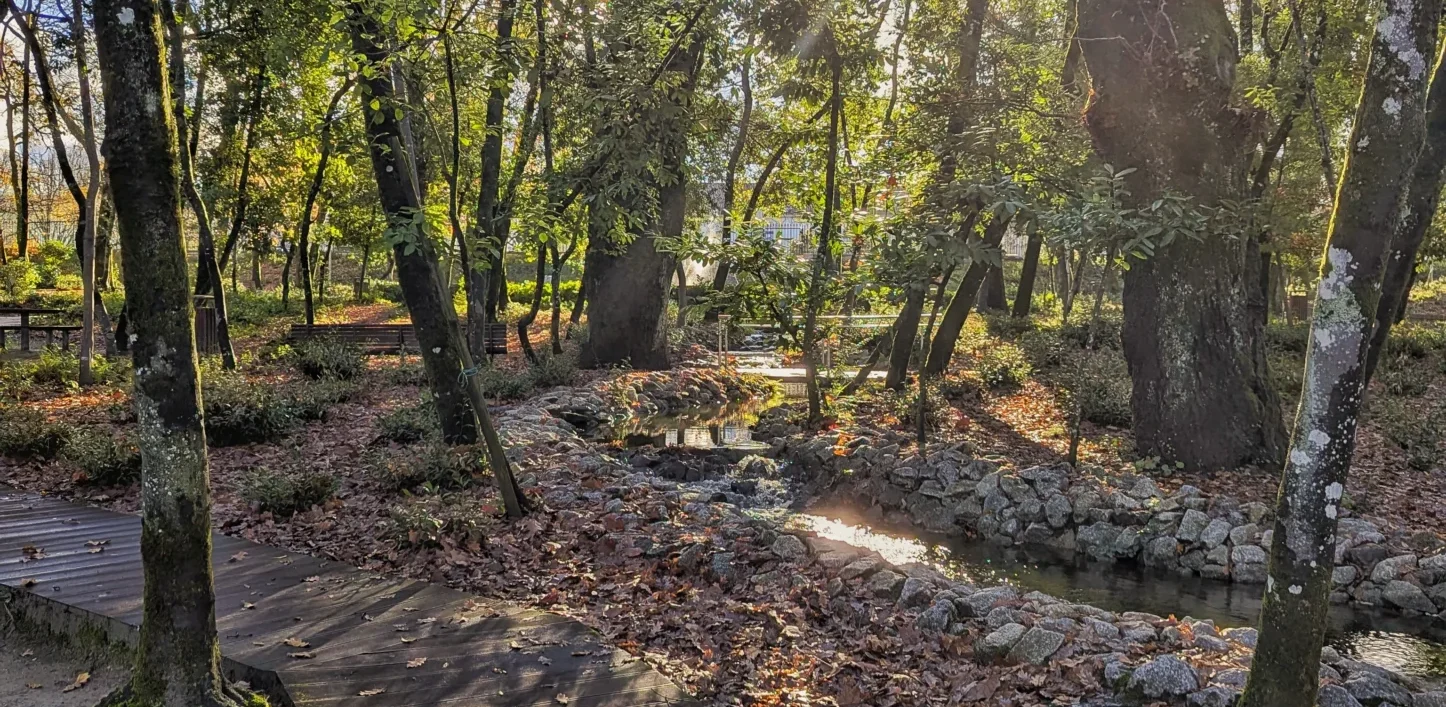 Outono Viseu