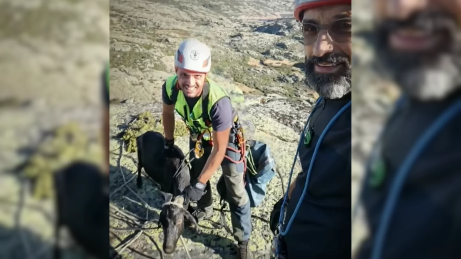 Serra Da Estrela Caprino Gnr