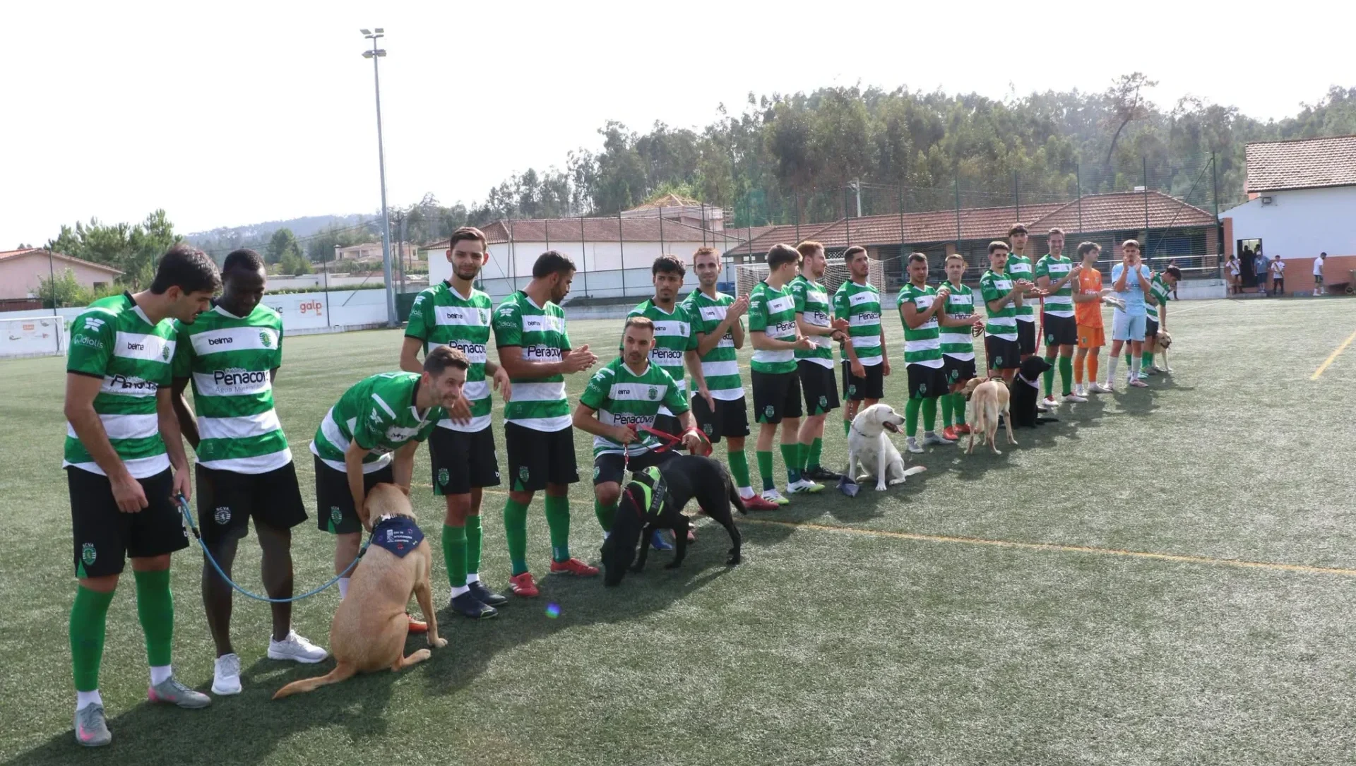 Sporting Vale Açores Cães
