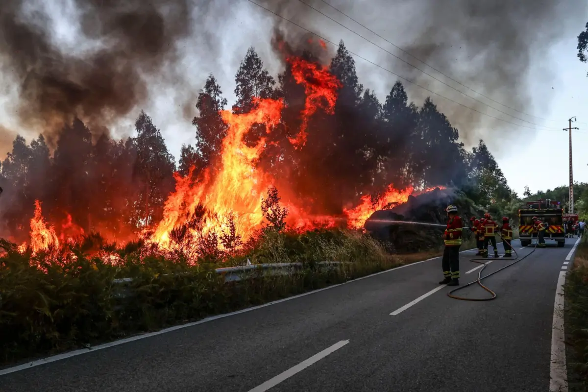 Ue Frota Combate Incendios